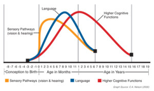 why early childhood matters